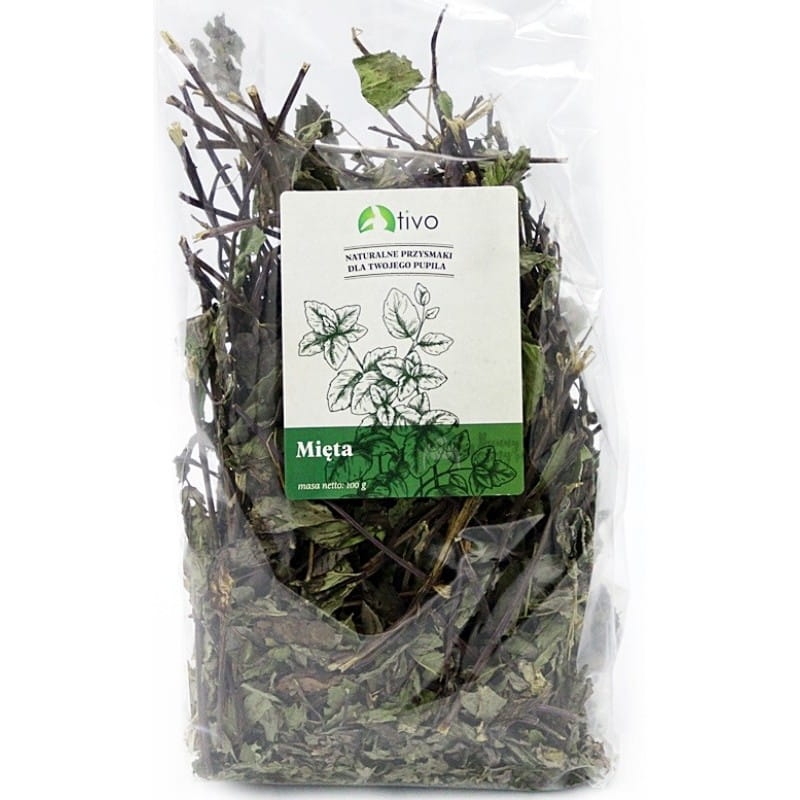Mięta 100g TIVO