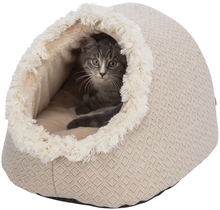 originals_PHO_PRO_CAT_CLIP_PHO_PRO_CAT_CLIP_38210-2_#SALL_#AWK_#V1.jpg