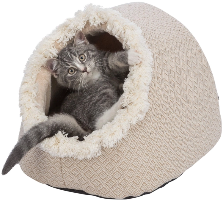 originals_PHO_PRO_CAT_CLIP_PHO_PRO_CAT_CLIP_38210-3_#SALL_#AWK_#V1.jpg