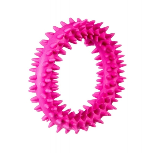 barry-king-maly-ring-xs-dla-szczeniat-rozowy-95-cm.jpg