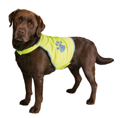 originals_PHO_PRO_DOG_CLIP_PHO_PRO_DOG_CLIP_30080-30081-30082-30083-30084-1_#SALL_#AWK_#V1.jpg