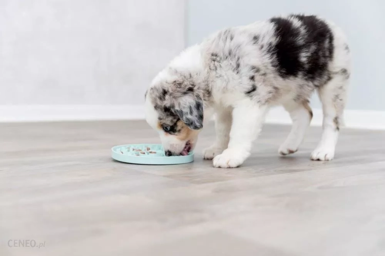 3d5f66cc-4823-452a-bb47-da0b1bfab1fb_i-trixie-junior-taca-licking-plate-lick-n-snacke-15-cm-tx-34954.webp