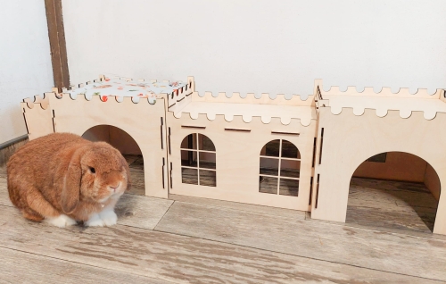 Zamek domek zestaw dla królika własny grawer Bunny Land