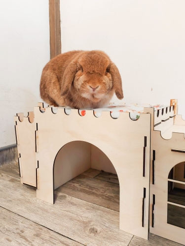Zamek domek zestaw dla królika własny grawer Bunny Land