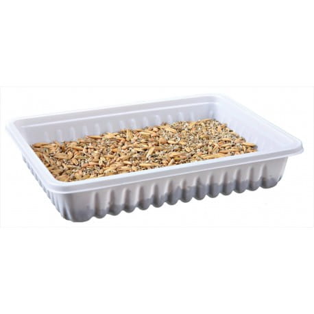 trawa-dla-gryzoni-w-pojemniku-100gr (1)2.jpg