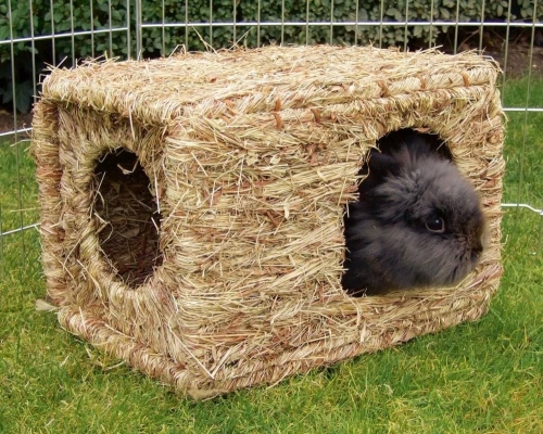 domek z trawy.jpeg