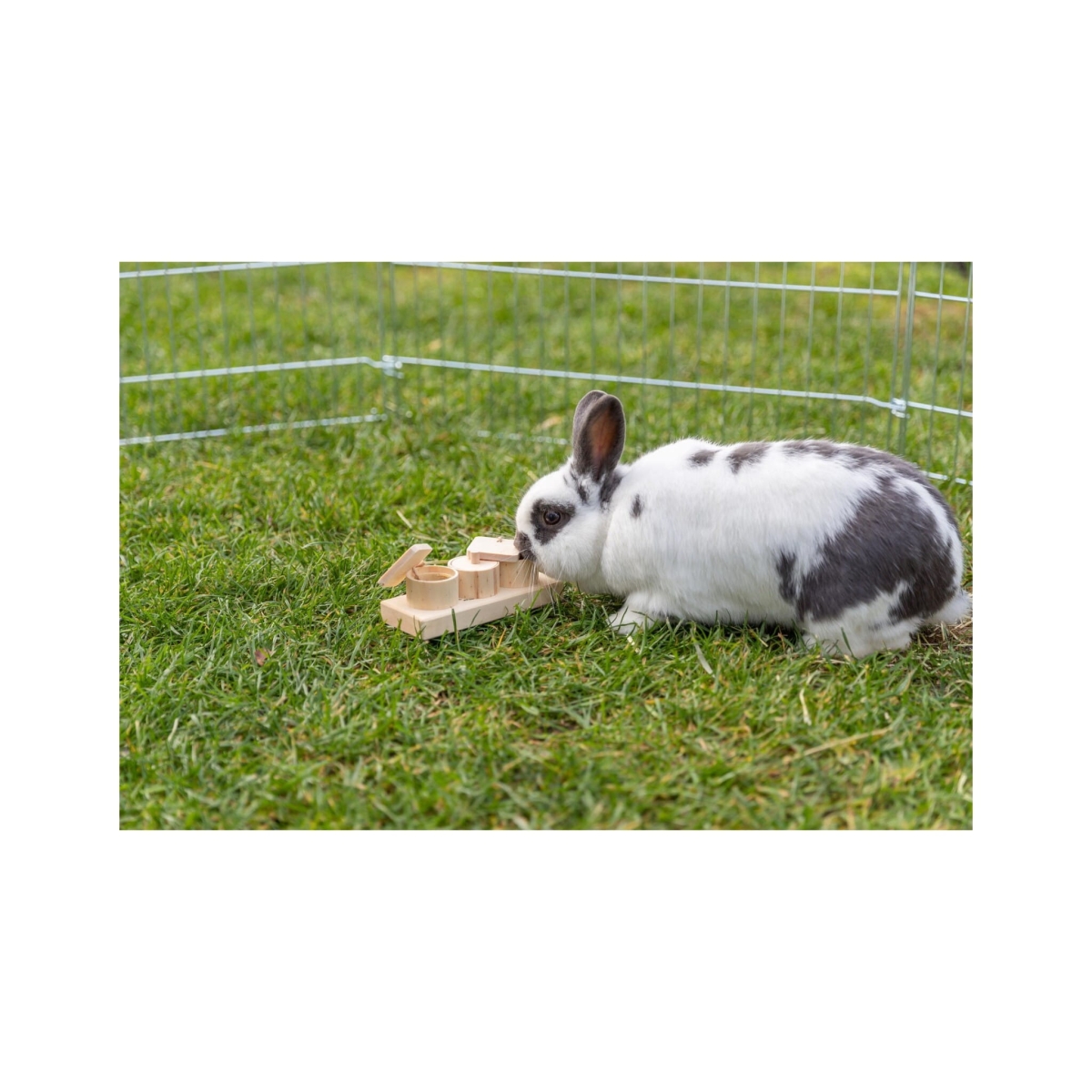 Zabawka edukacyjna  - Snack cups