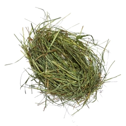 Sianko Miętowe 1,2kg Samfarm