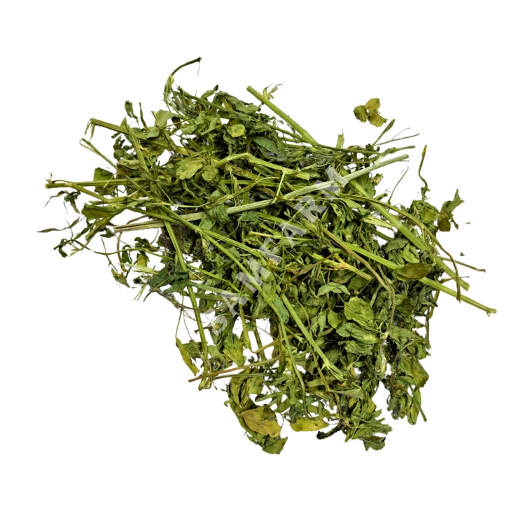 LUCERNA 2.png