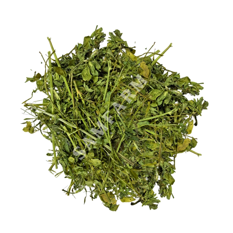 LUCERNA 3.png
