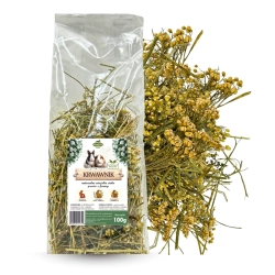 Krwawnik 100g - Samfarm