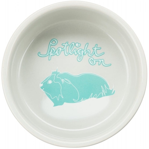 miska-dla-kawii-domowej-ceramiczna-240-ml-o-11-cm.jpg