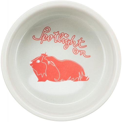 miska-dla-kawii-domowej-ceramiczna-240-ml-o-11-cm (1).jpg